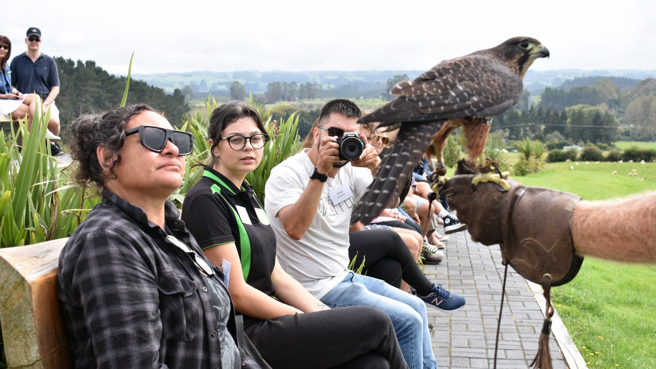 Pellet dissection workshop attendees admire a New Zealand falcon (kārearea) at the Wingspan National Bird of Prey Centre.