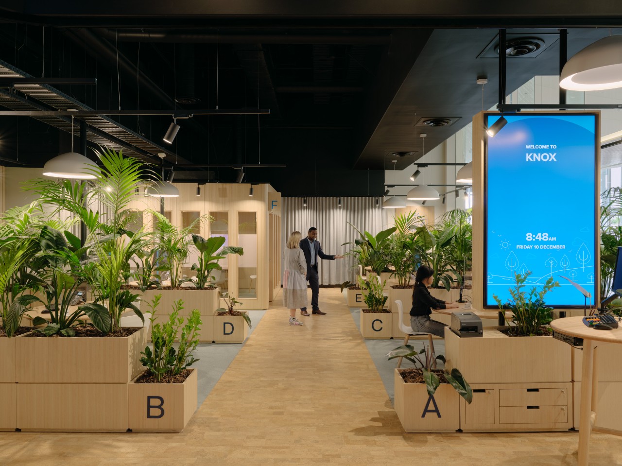 An ANZ branch featuring pale wood, plants, a large display screen and two people standing talking