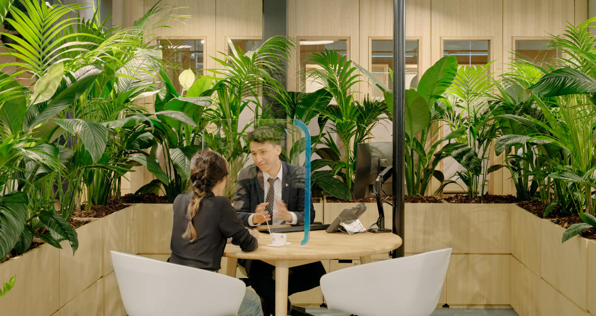 Plants are used to create privacy for staff and customer conversations at the ANZ sustainable breath architects branch