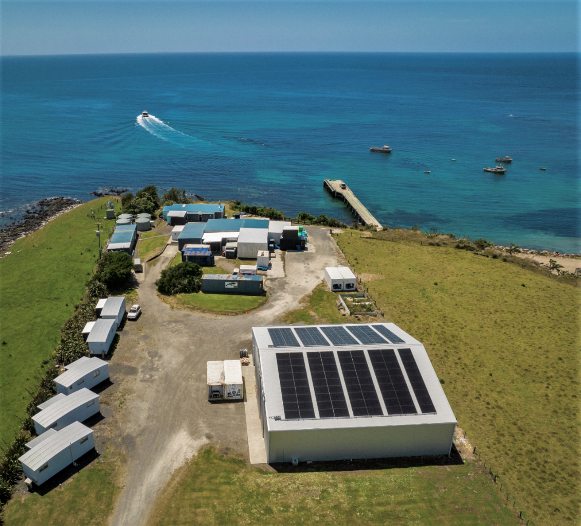 An aerial view of the solar panels on the roof of Chatham Island Food Co's factory in Owenga.